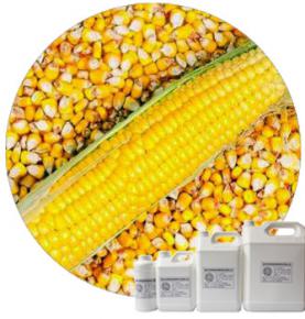 Corn Powder Flavour 