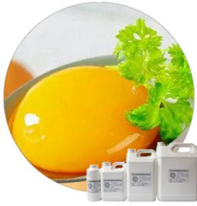 Egg Yolk Powder Flavour 