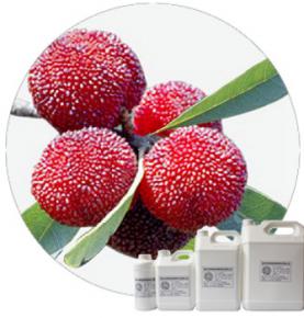 Sour Plum Powder Flavour 