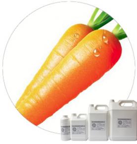 Carrot Powder Flavour 