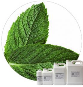 Mint Powder Flavour 