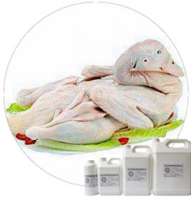 Duck Seasoning Powder