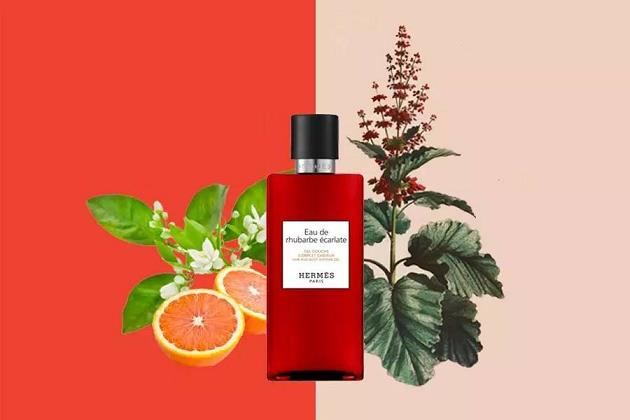 fragrance essential perfume fragrance essential perfume