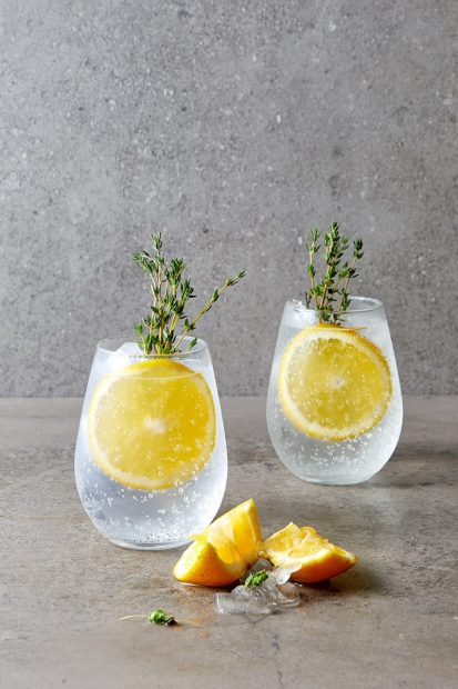 1604569569755090.jpg gin-and-tonic-cocktail-with-orange-and-thyme.jpg